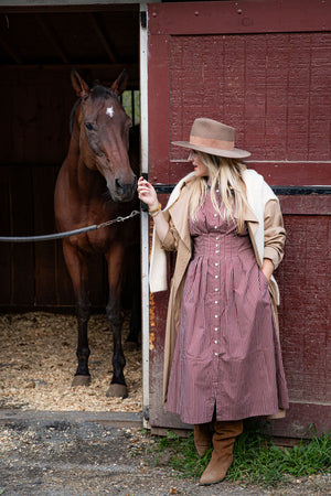 Cinnamon Brown stripe UPF 50+ cotton dress for women on country farm background