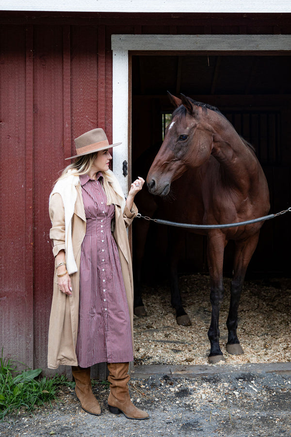 Cinnamon Brown stripe UPF 50+ cotton dress for women on country farm background